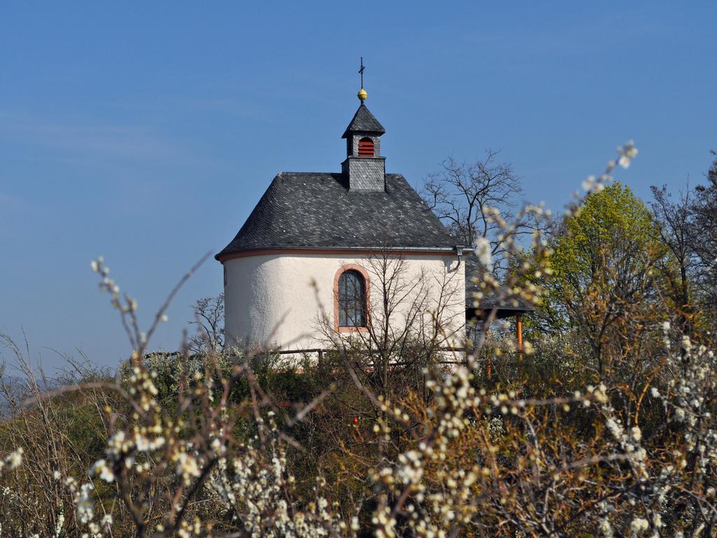 Ilbesheim bei Landau in der Pfalz 罗莎宫廷花园旅馆酒店 外观 照片